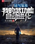 灵气复苏：我的武功能自动进化