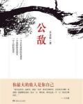 公敌日语