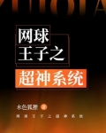 网球王子之超神系统 小说