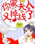 大神，你家夫人又掉线了