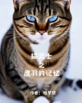 猫武士 鸦羽