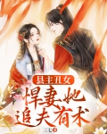 县令的丑妻小说