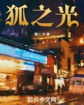 狐之光
