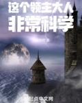 这个领主大人非常科学起点