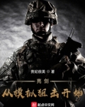 从亮剑开始的特战