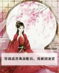 穿越成恶毒原配后，我被团宠爱