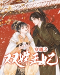 电视剧穿越王妃全集播放
