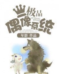 偶像活动系统