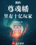 我的尊魂幡里有十亿玩家