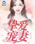 挚爱团宠小说