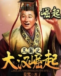 三国之大汉崛起穿越刘辩