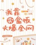 小说我靠卖盒饭火爆全网