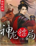 神镖霸婿