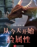从今天开始捡属性全本下载