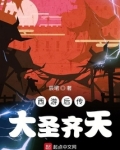 西游后传，大圣齐天