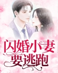 闪婚小妻太抢手全文免费阅读
