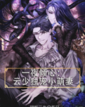 夜少 云倾
