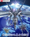 高达seed之最后的归宿精校版