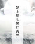 妃上墙头等红杏开