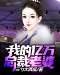 总裁的亿万老婆买一送一全文阅读