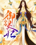 绝世御医 小说