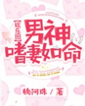 男神嗜妻如命小说免费阅读