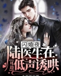 闪婚陆先生陆寒时