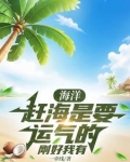 赶海真有意思