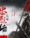 大宋忠烈传