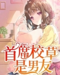 首席校草在身边小说