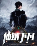 仙少下凡免费阅读