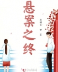 悬案之终小说