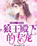 狼王殿下恋爱了百度百科
