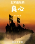 北宋最后的良心小说免费阅读