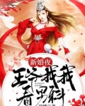 王爷王妃新婚之夜虐文