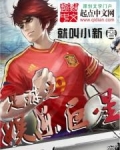 足球之娱乐巨星