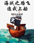 海贼之路飞邀我上船有声小说