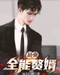 全能赘婿兰天
