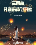 孔雀东南飞 三国