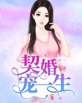 宠婚契约不过期免费阅读全文
