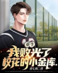 重生我败光了校花的小金库免费