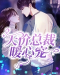总裁的天价宠妻 小说