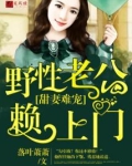 野性老公宠妻无度