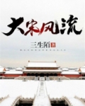 大宋风流传小说