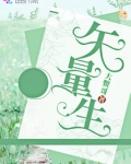 矢量生
