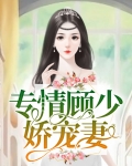 专情顾少宠无限