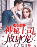 离婚神秘小说