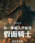 从一拳超人开始的假面骑士