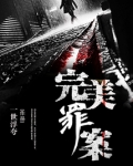完美罪案小说结局解析