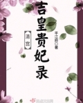 清宫吉皇贵妃录清穿小说